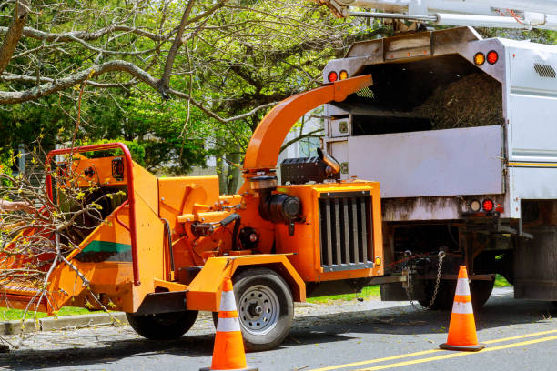 Best Commercial Tree Services  in Belleville, MI