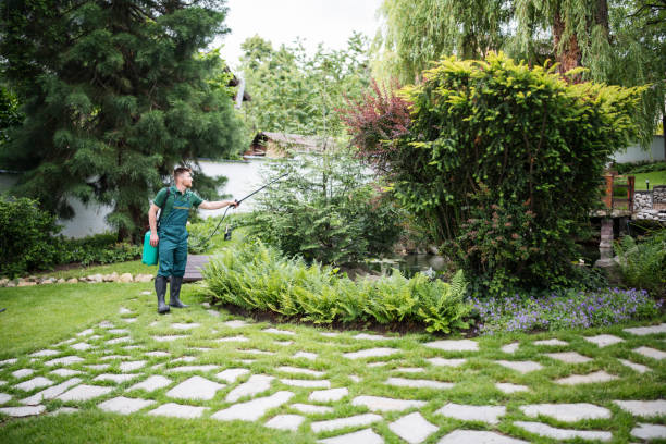 Best Leaf Removal  in Belleville, MI